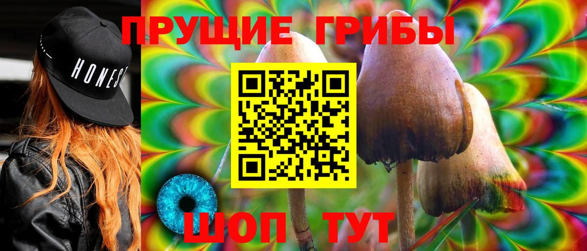 Псилоцибиновые грибы Psilocybe Кулебаки