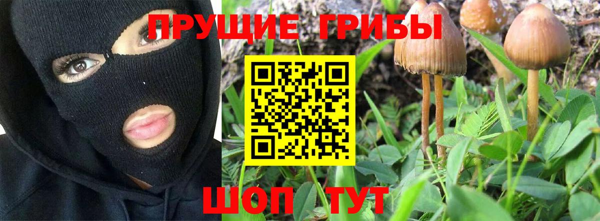 где продают наркотики  Вход с VPN  Псилоцибиновые грибы MAGIC MUSHROOMS  Кулебаки  Псилоцибиновые грибы Cubensis 